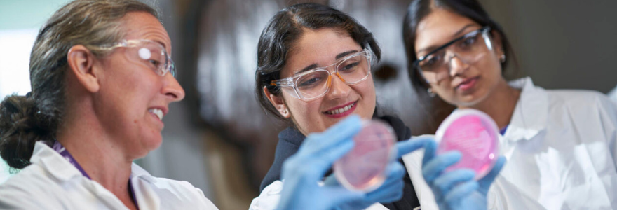 banner experiential learning